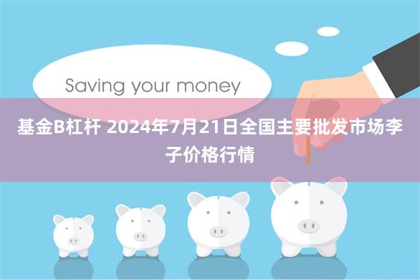 基金B杠杆 2024年7月21日全国主要批发市场李子价格行情