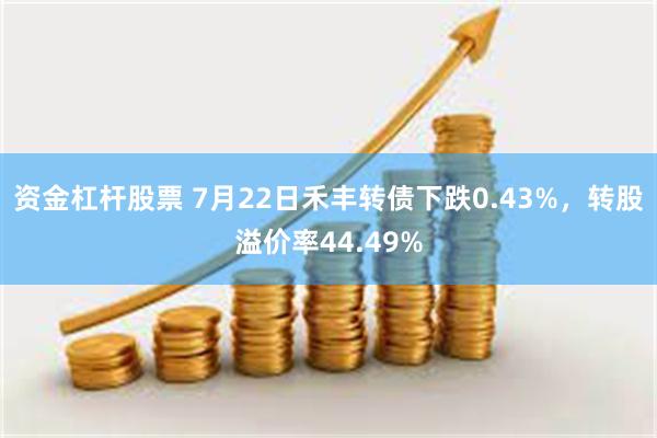 资金杠杆股票 7月22日禾丰转债下跌0.43%，转股溢价率44.49%