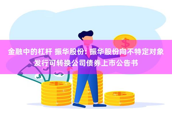 金融中的杠杆 振华股份: 振华股份向不特定对象发行可转换公司债券上市公告书