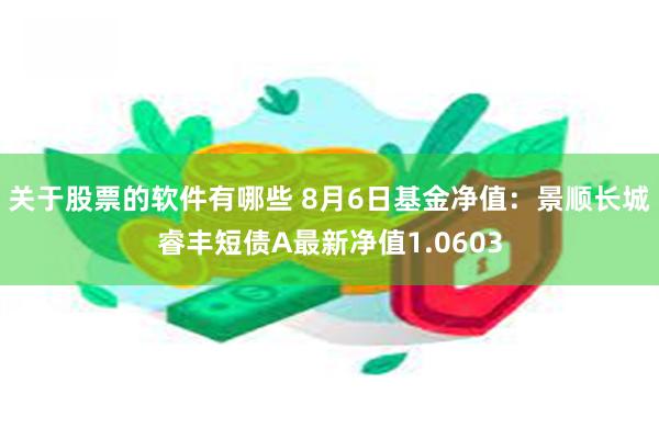 关于股票的软件有哪些 8月6日基金净值：景顺长城睿丰短债A最新净值1.0603