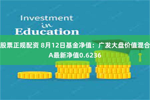 股票正规配资 8月12日基金净值：广发大盘价值混合A最新净值0.6236