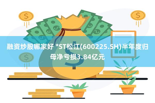 融资炒股哪家好 *ST松江(600225.SH)半年度归母净亏损3.84亿元