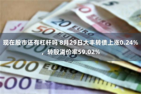 现在股市还有杠杆吗 8月29日大丰转债上涨0.24%，转股溢价率59.02%