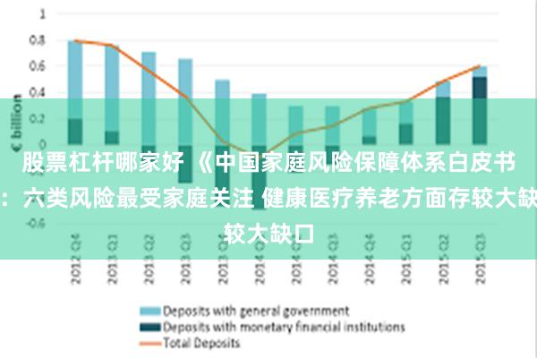 股票杠杆哪家好 《中国家庭风险保障体系白皮书》：六类风险最受家庭关注 健康医疗养老方面存较大缺口