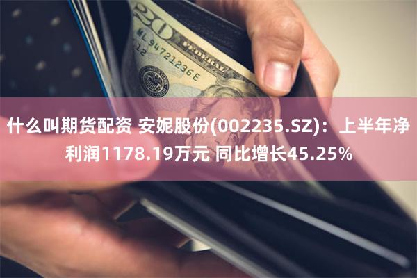 什么叫期货配资 安妮股份(002235.SZ)：上半年净利润1178.19万元 同比增长45.25%