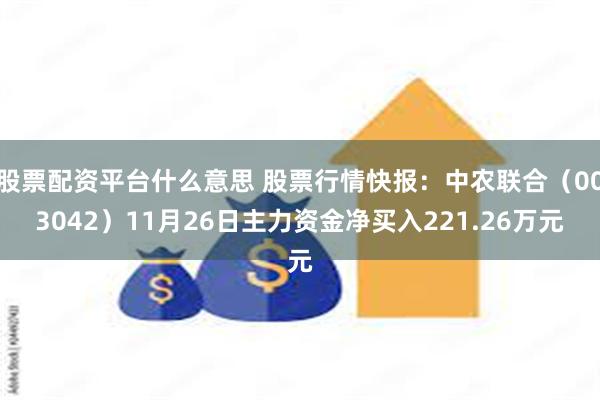 股票配资平台什么意思 股票行情快报：中农联合（003042）11月26日主力资金净买入221.26万元