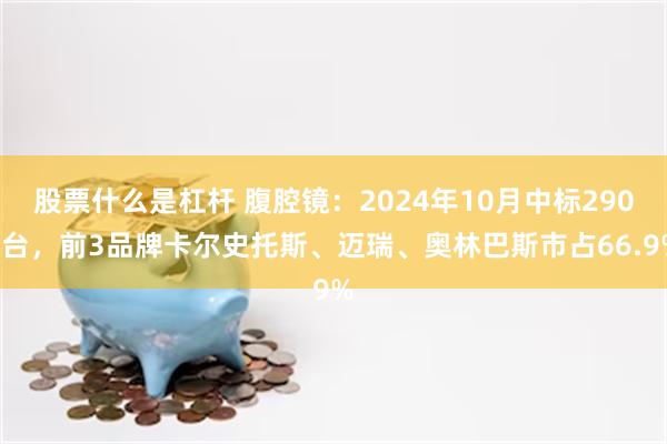 股票什么是杠杆 腹腔镜：2024年10月中标2909台，前3品牌卡尔史托斯、迈瑞、奥林巴斯市占66.9%