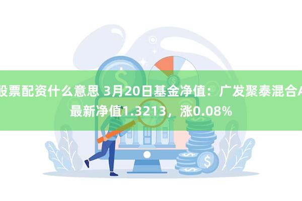 股票配资什么意思 3月20日基金净值：广发聚泰混合A最新净值1.3213，涨0.08%