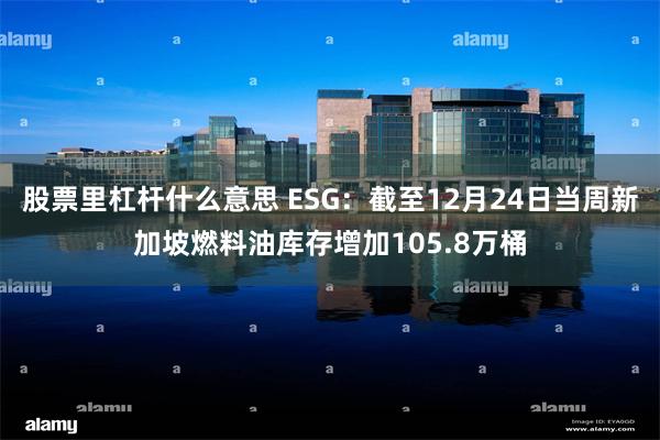股票里杠杆什么意思 ESG：截至12月24日当周新加坡燃料油库存增加105.8万桶